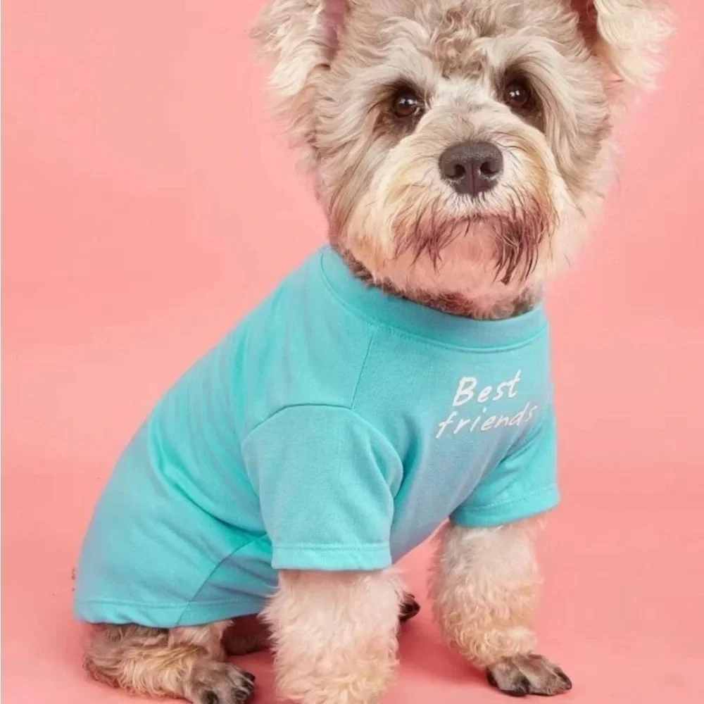 Small Dog Or Cat Pet Tee T-Shirt Best Friends Aqua Blue Clothing